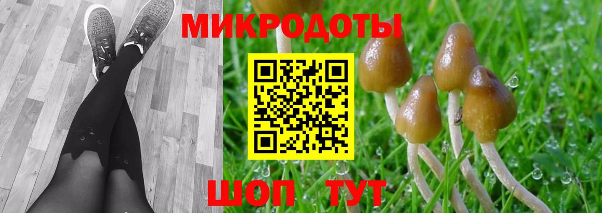 Бердск  Галлюциногенные грибы Magic Shrooms  Вход с VPN 
