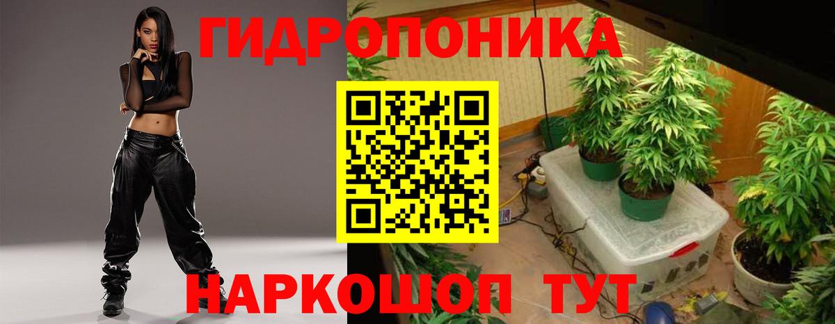 Шишки марихуана White Widow Бердск